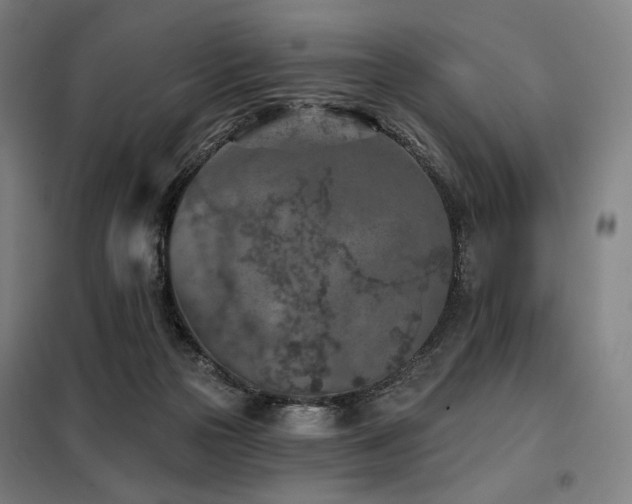 X0000098110169200804041353