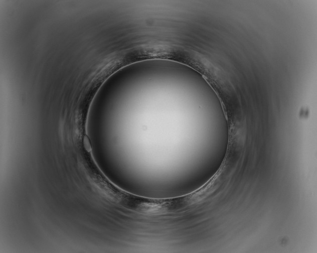 X0000098110170200804041353
