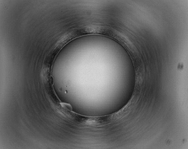 X0000098110171200804041353