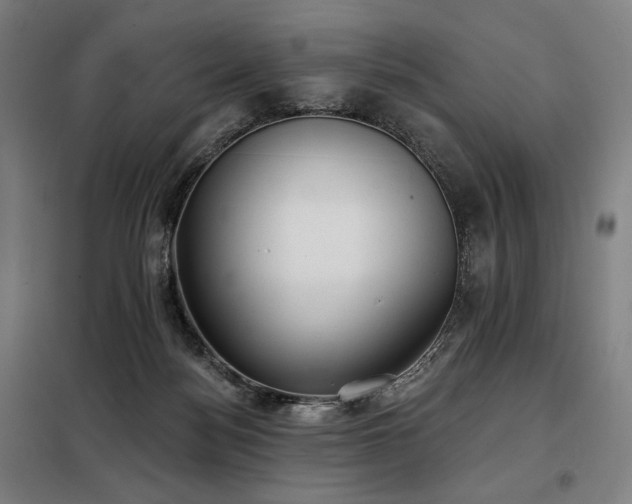 X0000098110172200804041353