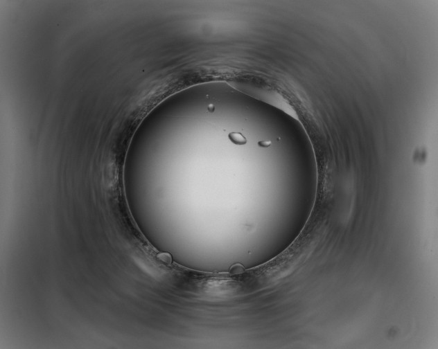 X0000098110173200804041353