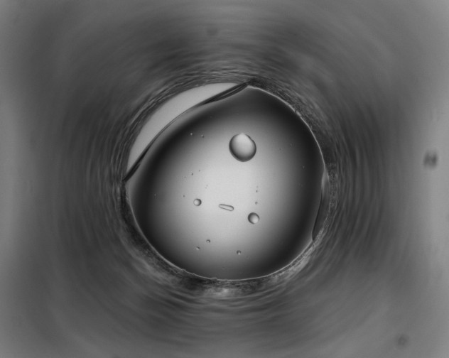 X0000098110174200804041353