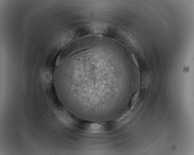 X0000098110176200804041353