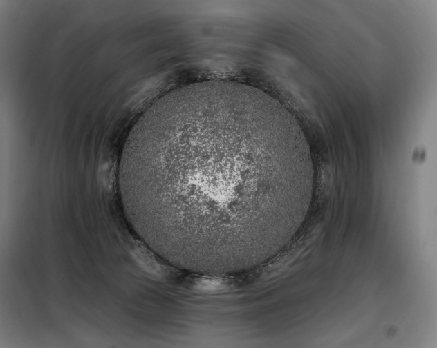 X0000098110177200804041353