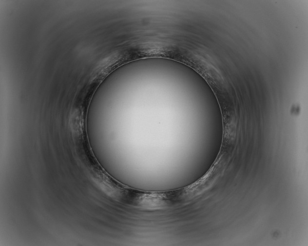 X0000098110179200804041353