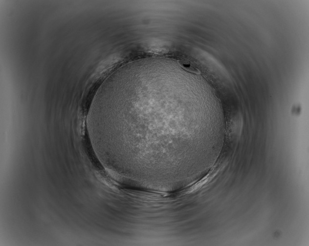 X0000098110180200804041353