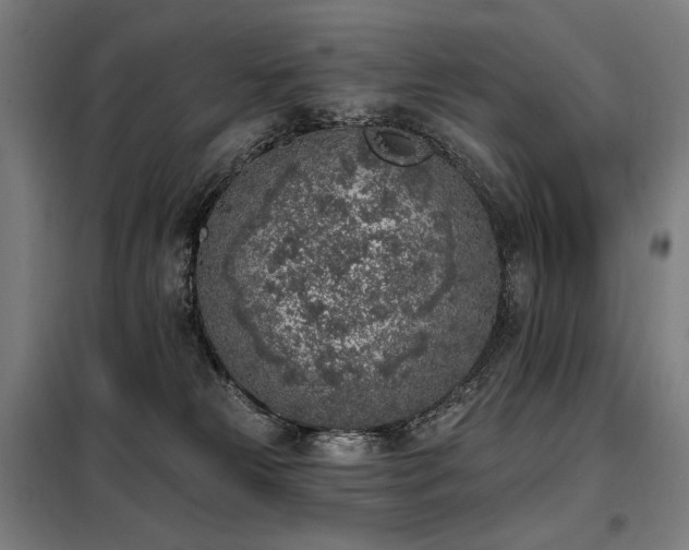 X0000098110181200804041353