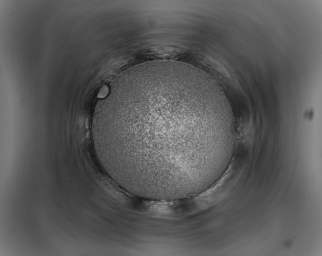 X0000098110182200804041353