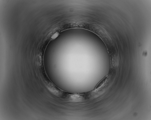 X0000098110183200804041353