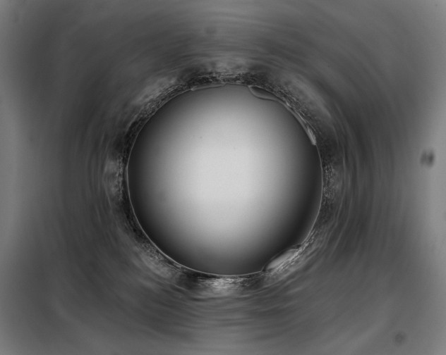 X0000098110184200804041353