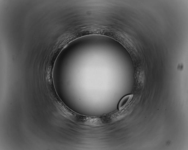 X0000098110185200804041353