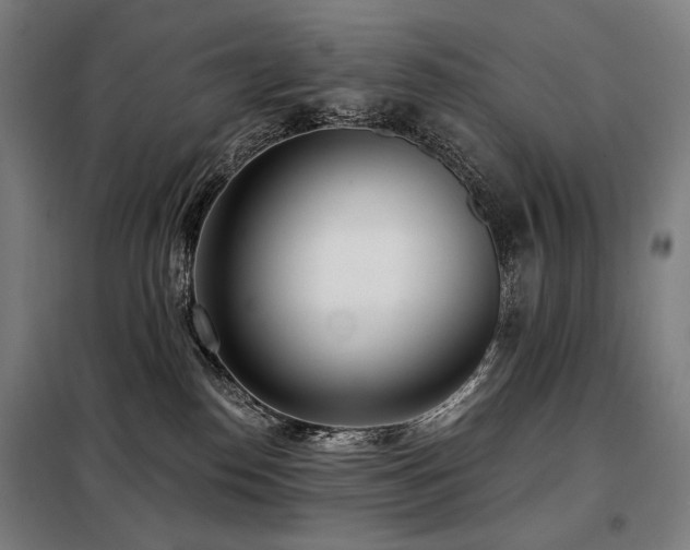 X0000098110186200804041353