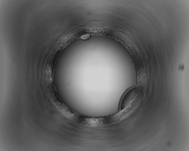 X0000098110187200804041353