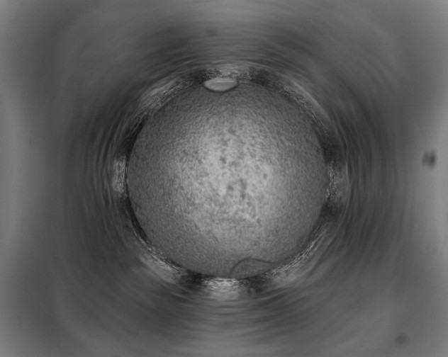 X0000098110189200804041353