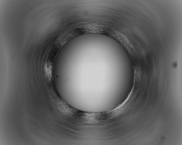 X0000098110190200804041353