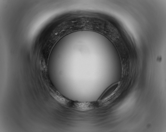 X0000098110191200804041353
