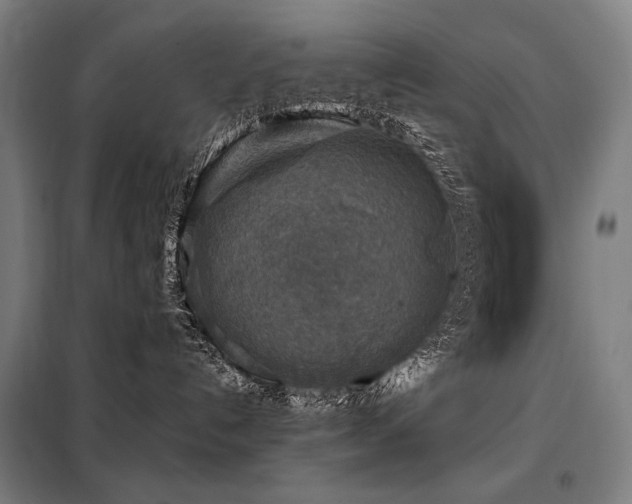 X0000098110192200804041353