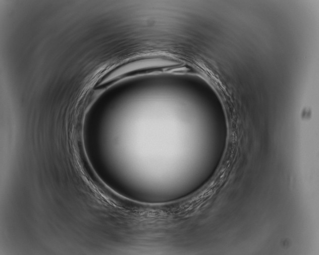 X0000098110193200804041352