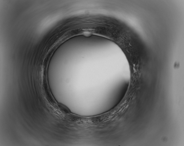 X0000098110194200804041352