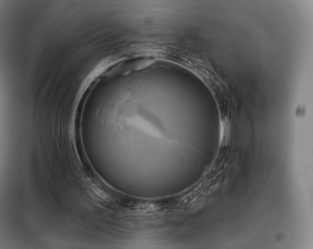 X0000098110195200804041352