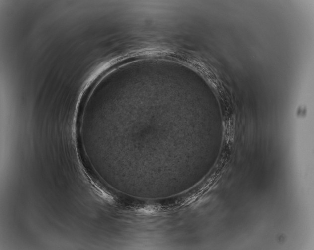 X0000098110196200804041352