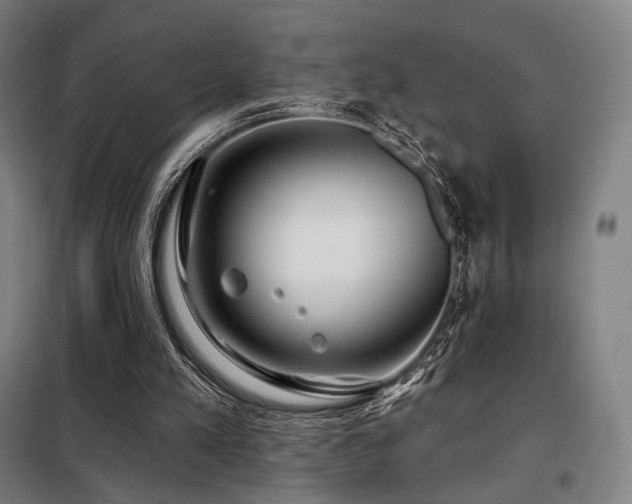 X0000098110197200804041352