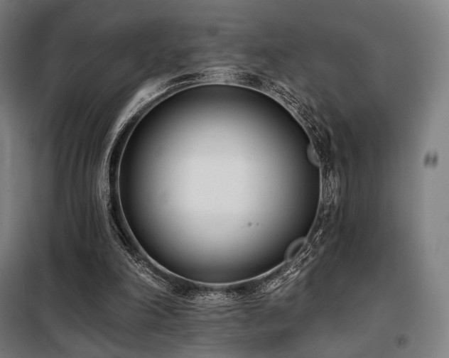 X0000098110198200804041352