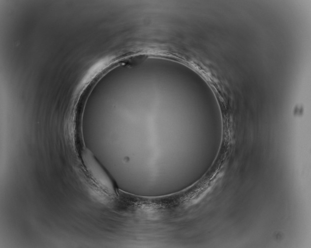 X0000098110199200804041352