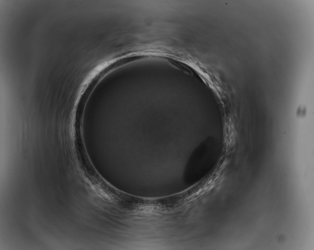 X0000098110200200804041352