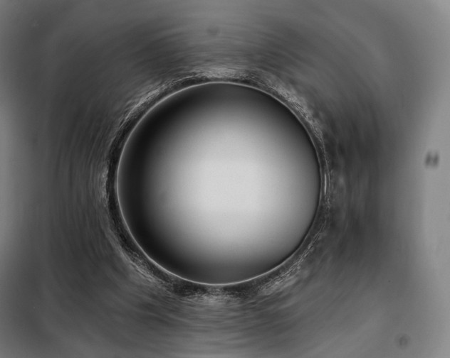 X0000098110201200804041352
