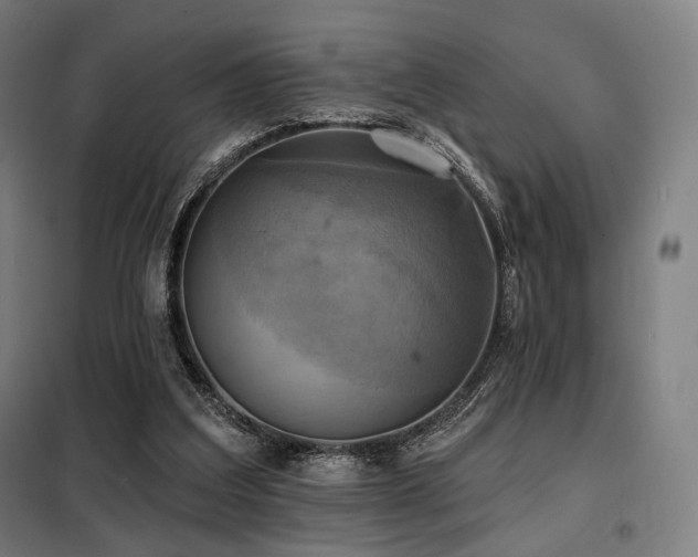X0000098110203200804041352