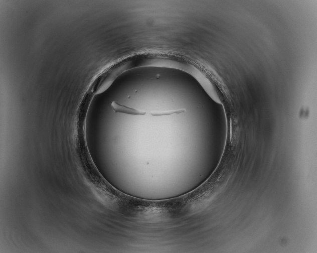 X0000098110204200804041352