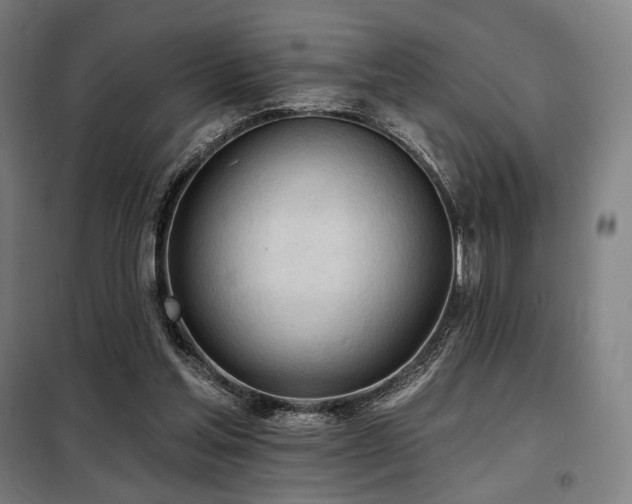 X0000098110205200804041352
