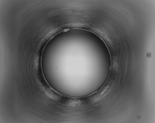 X0000098110206200804041352