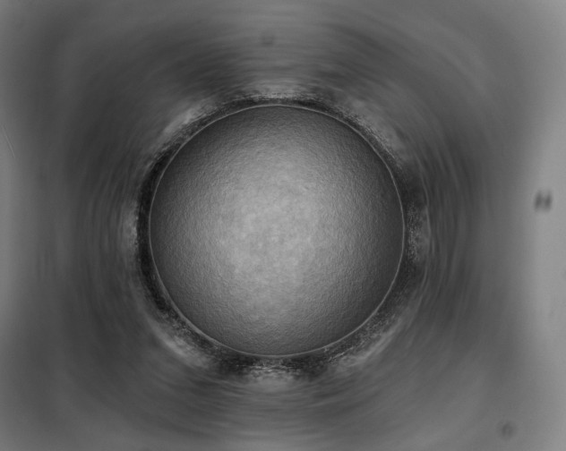 X0000098110207200804041352