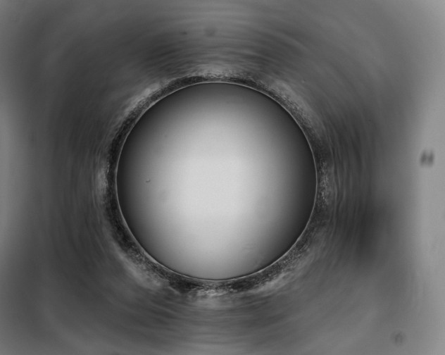 X0000098110208200804041352