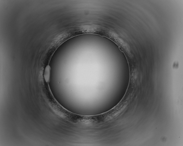 X0000098110209200804041352