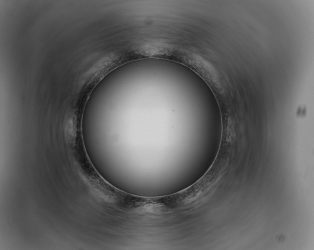 X0000098110210200804041352
