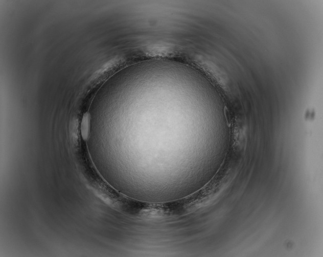 X0000098110211200804041352