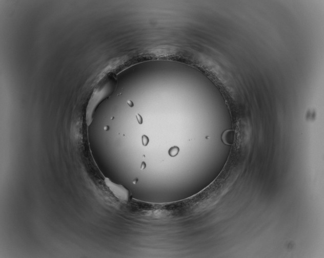 X0000098110212200804041352