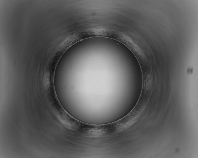 X0000098110213200804041352