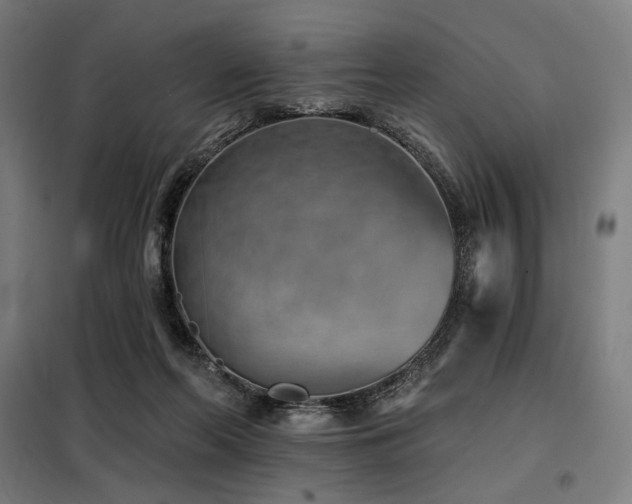X0000098110214200804041352