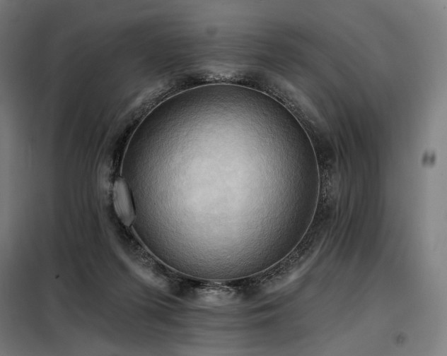 X0000098110215200804041352