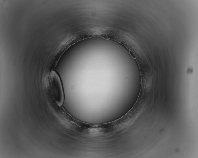 X0000098110216200804041352