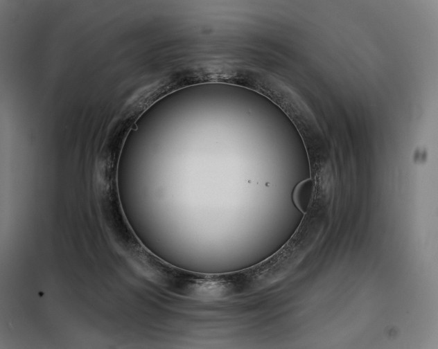 X0000098110218200804041352