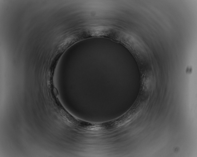 X0000098110219200804041352