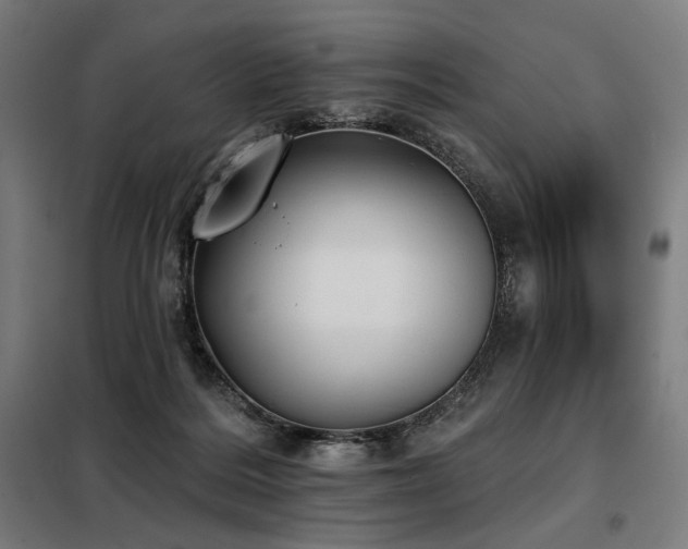 X0000098110220200804041352