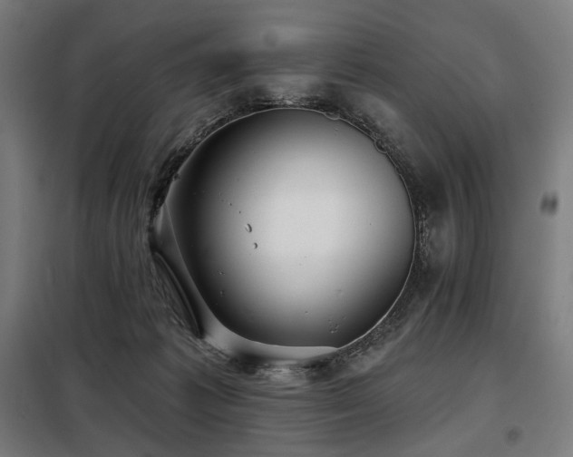 X0000098110221200804041352