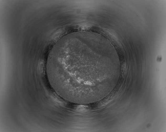 X0000098110222200804041352