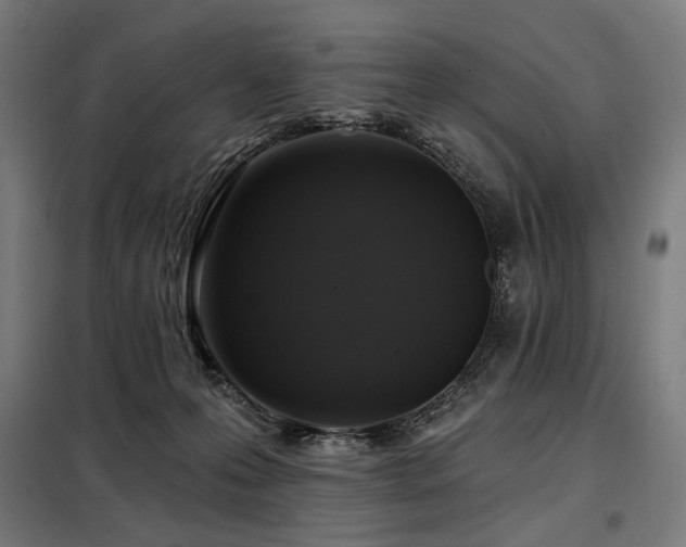 X0000098110223200804041352
